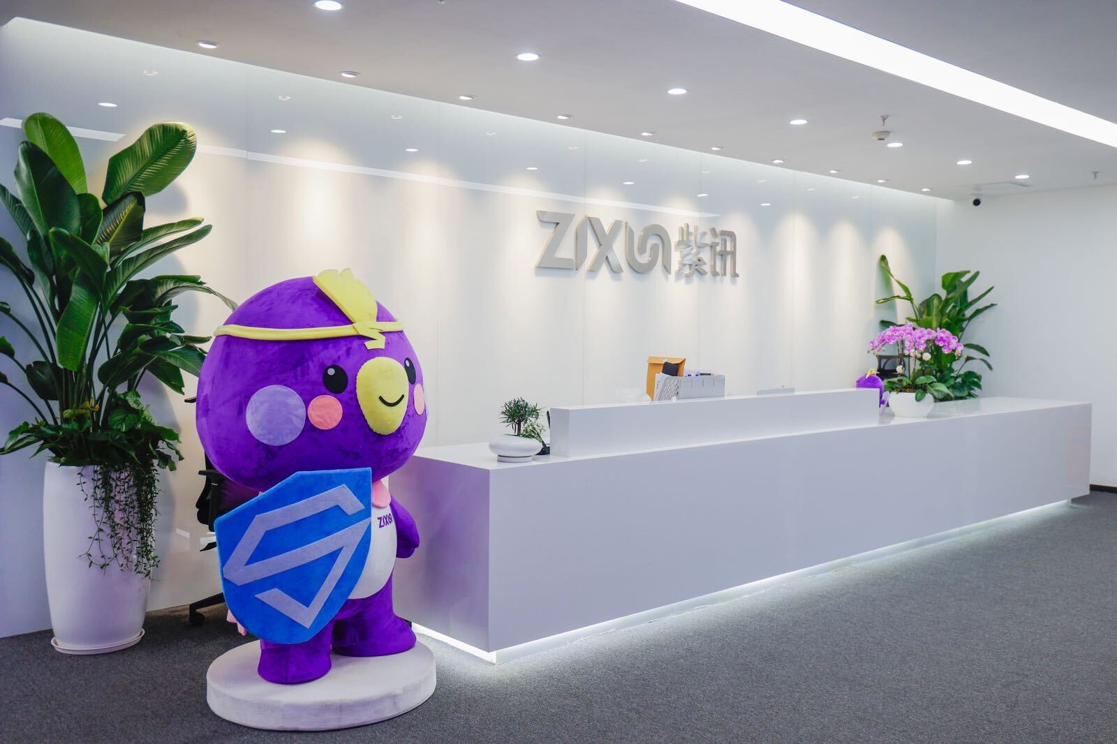 The reception area of ZixunTech office featuring a large, purple company mascot with a shield, standing next to a modern white desk. The space is bright, decorated with potted plants and flowers, and has the ZixunTech logo on the wall.