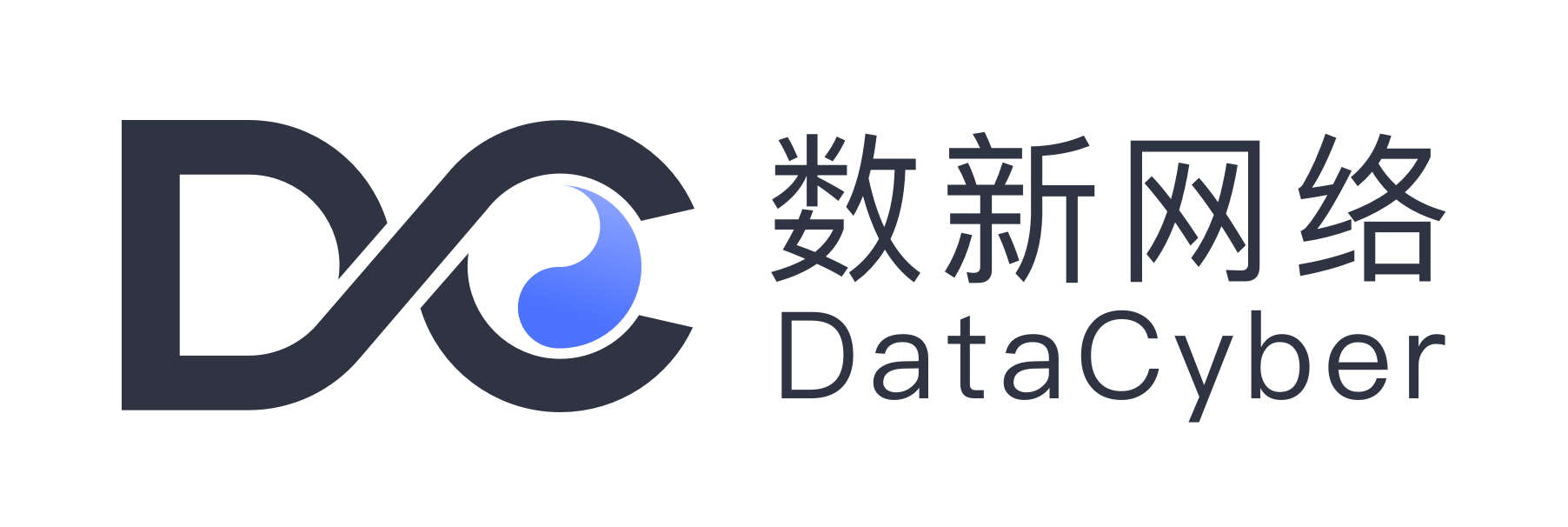 Logo for DataCyber Shuxin, featuring both Chinese and English text, with the company symbol in blue and black on a white background.