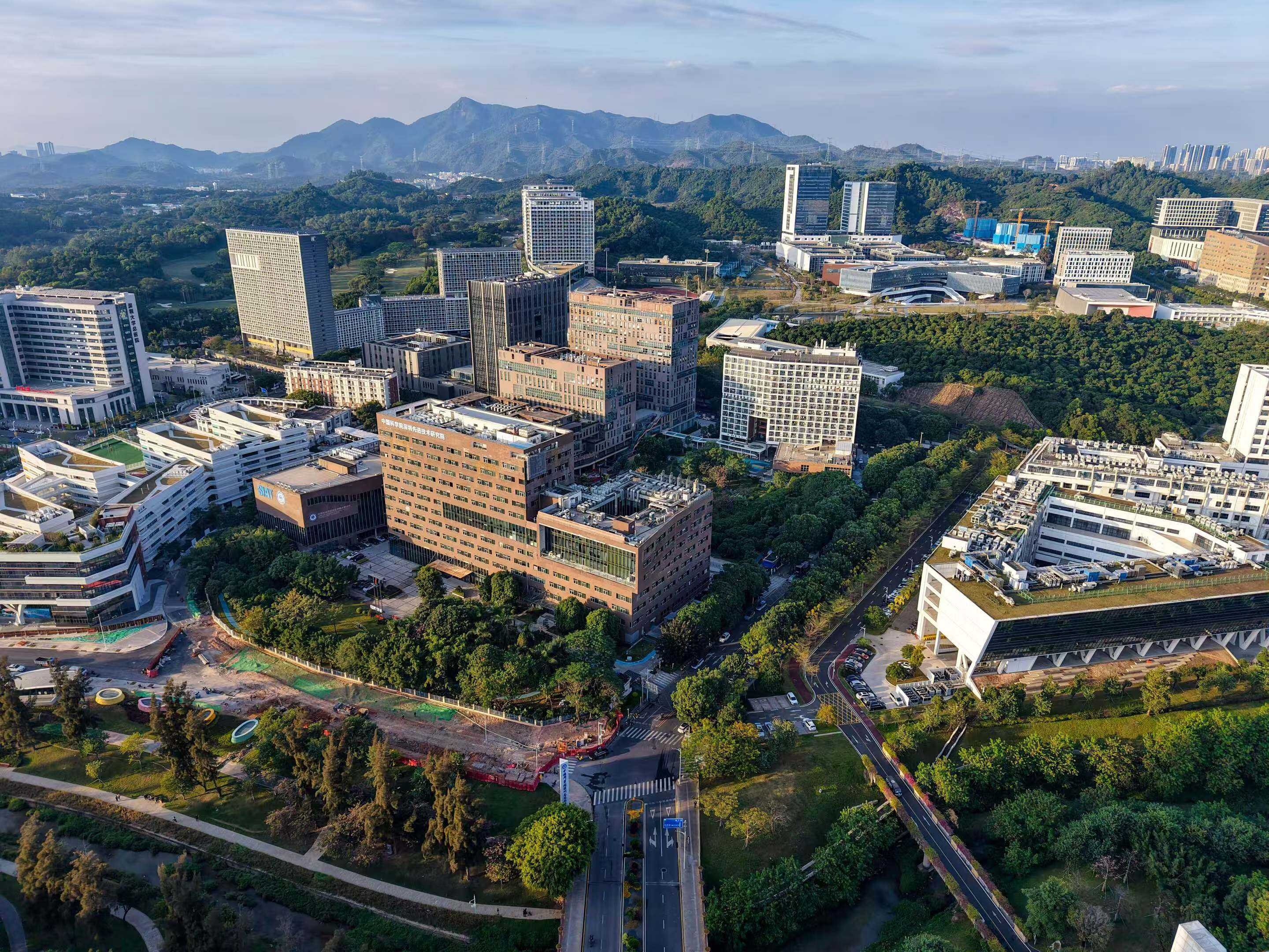 Missing alt text value