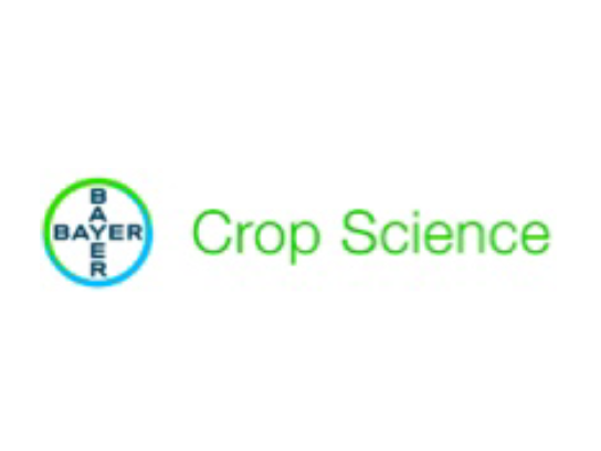 Missing alt text value